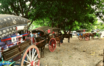 belmond road to mandalay 43