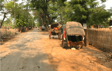 the strand cruise 23