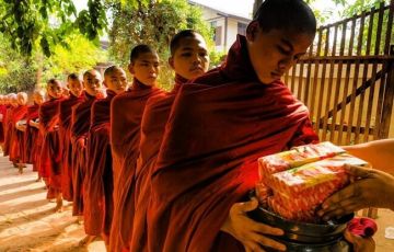 the strand cruise 21